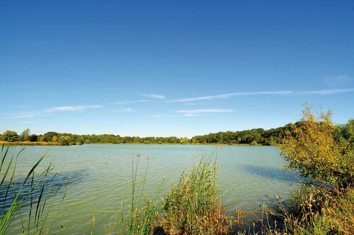 Etang communal salle des fêtes de villeneuve la dondagre