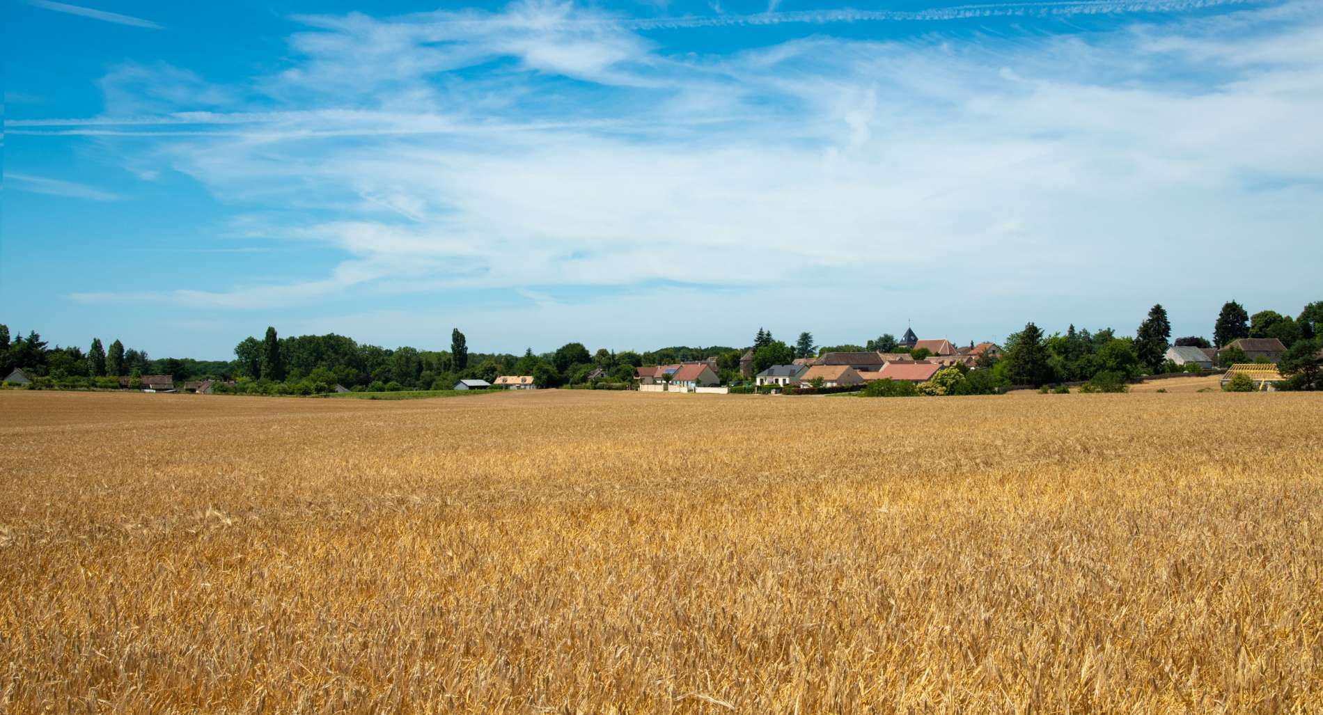 Villeneuve la Dondagre (Yonne) située à 13 kms de Sens